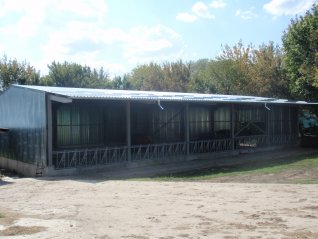 КРАВЕФЕРМА В С. НИКЮП